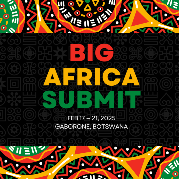 BiG Africa Summit